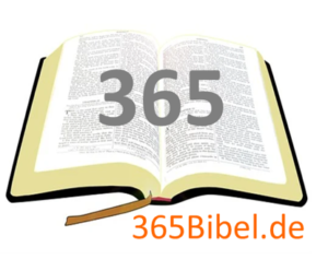 Entdecke die Bibel in 365 Tagen